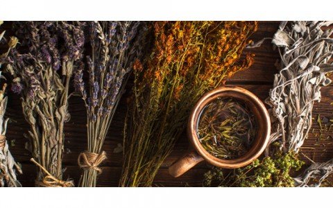 Benefits of officinal herbs in October