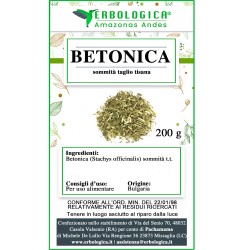 Betonica sommità tisana Betonica sommità tisana