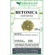 Betonic herbal tea top