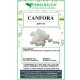 Canfora naturale fiori in polvere Canfora naturale fiori in polvere