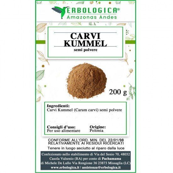 Carvi Kummel semi in polvere Carvi Kummel semi in polvere