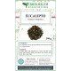 Eucalyptus herbal tea composed 500 grams