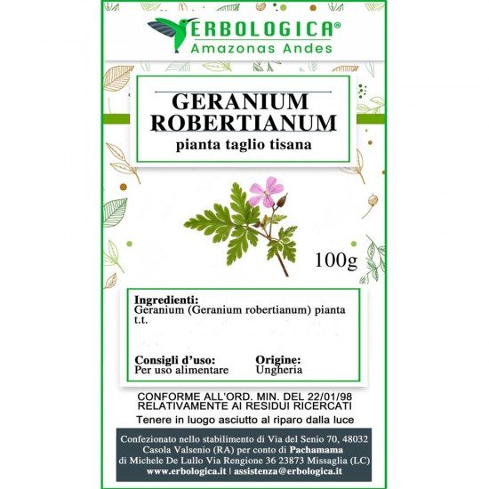 Geranium robertianum pianta taglio tisana (Erba roberta)