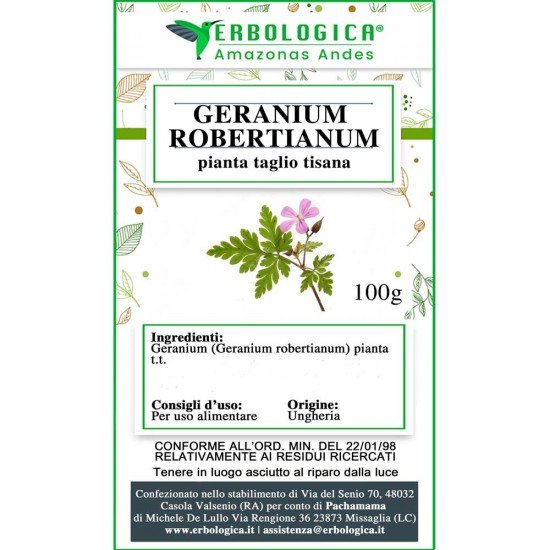Geranium robertianum pianta taglio tisana Geranium robertianum pianta taglio tisana