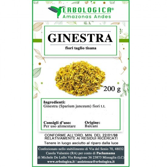 Ginestra fiori taglio tisana Ginestra fiori taglio tisana