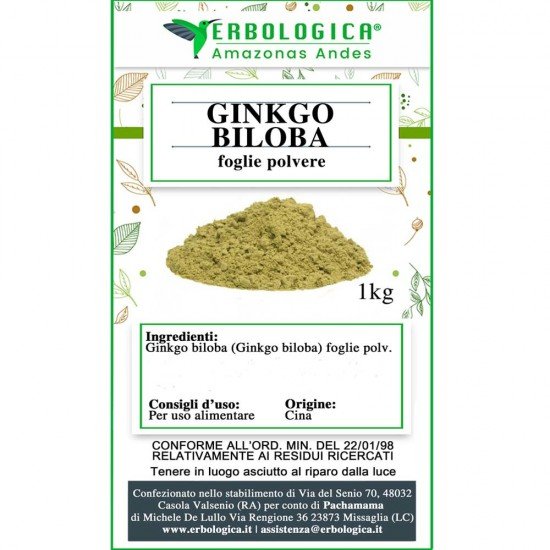 Ginkgo biloba in polvere Ginkgo biloba in polvere