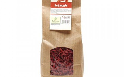Tutto sulle Bacche di Goji