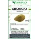 Gramigna rizoma in polvere Gramigna rizoma in polvere