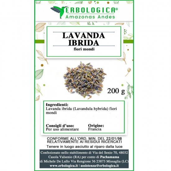 Lavanda ibrida fiori mondi Lavanda ibrida fiori mondi