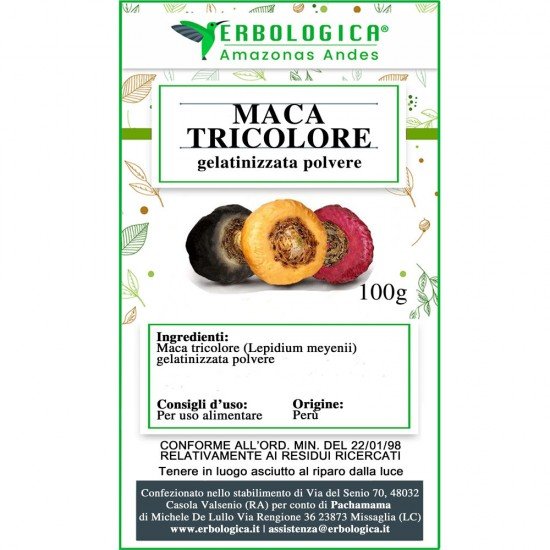Tricolor maca in powder, Peruvian gelatinized