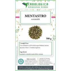 Mentastro sommità tisana  Mentastro sommità tisana