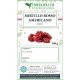 Mirtillo rosso americano Mirtillo rosso americano
