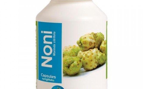 Noni properties The exotic plant that fights fatigue and weakness