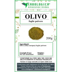 Olivo foglie in polvere Olivo foglie in polvere