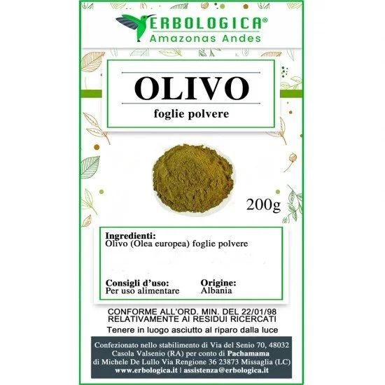 Olivo foglie in polvere Olivo foglie in polvere