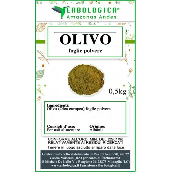 Olivo foglie in polvere Olivo foglie in polvere
