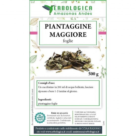 Piantaggine maggiore foglie tisana 500 grammi Piantaggine maggiore foglie tisana 500 grammi