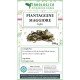 Piantaggine maggiore foglie tisana 500 grammi Piantaggine maggiore foglie tisana 500 grammi