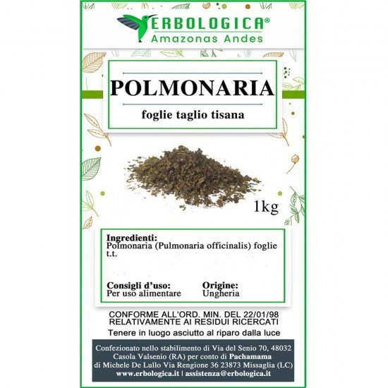 Polmonaria foglie tisana 500 grammi
