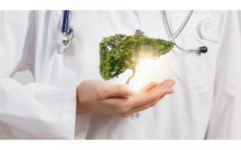 Rimedi naturali per depurare il fegato Rimedi naturali per depurare il fegato