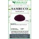 Sambuco bacche in polvere Sambuco bacche in polvere