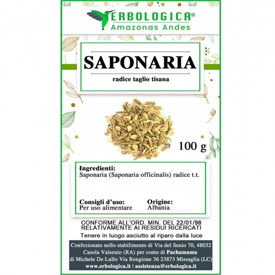 Saponaria radice taglio tisana Saponaria radice taglio tisana