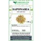 Saponaria root herbal tea cut
