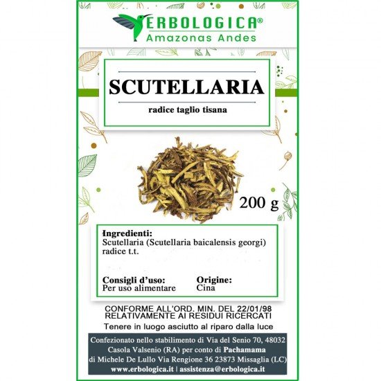Scutellaria radice taglio tisana Scutellaria radice taglio tisana
