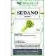 Sedano in polvere da 500 grammi Sedano in polvere da 500 grammi