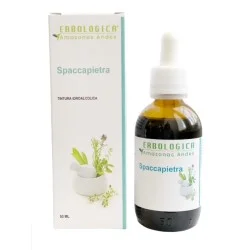 Hydroalcoholic extracts Hydroalcoholic extracts
