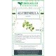 Alchemilla herbal tea plant 100 grams