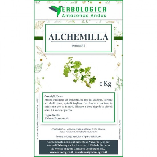 Alchemilla herbal tea cut plant 1 kg