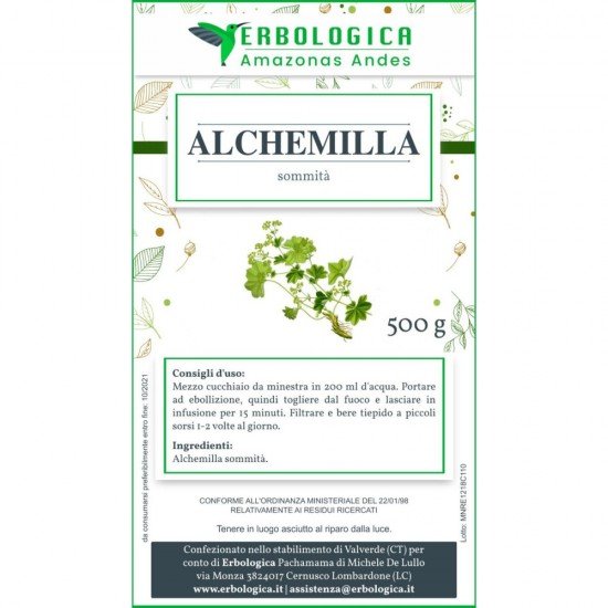 Alchemilla pianta taglio tisana 500 grammi