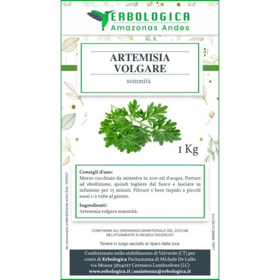 Artemisia Vulgaris da 1kg