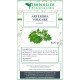 Artemisia Vulgaris from 500g Artemisia Vulgaris from 500g
