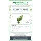 Maidenhair top herbal tea 1 kg Maidenhair top herbal tea 1 kg