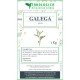 Galega herbal tea plant 1 kg