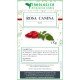 Rosa Canina fruit herbal tea