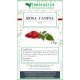 Rosa Canina fruit herbal tea Rosa Canina fruit herbal tea
