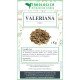 Valeriana radice tisana 500 grammi Valeriana radice tisana 500 grammi