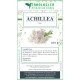Achillea da 100g Achillea da 100g
