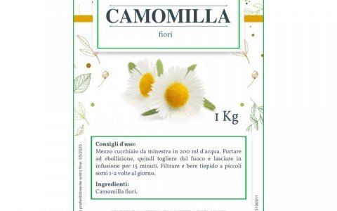 The 11 medicinal herbs for the winter The 11 medicinal herbs for the winter