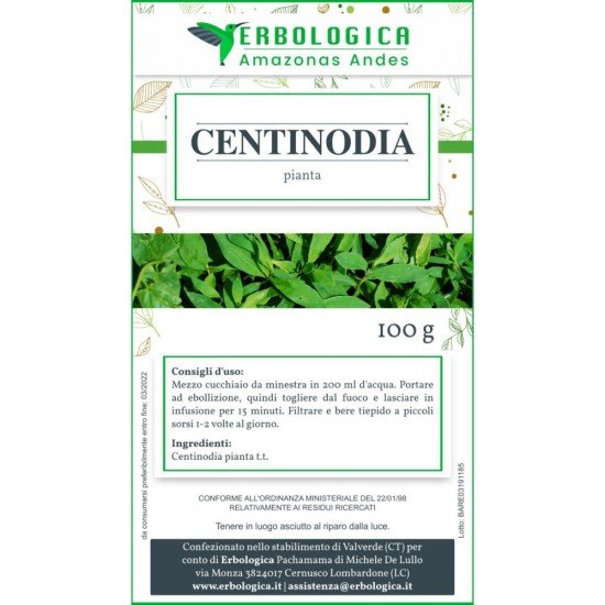 Centinodia plant herbal tea 500 grams