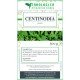 Centinodia plant herbal tea 500 grams