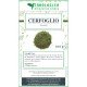 Chervil herbal tea 100 grams Chervil herbal tea 100 grams
