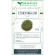 Chervil herbal tea 1 kg