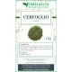 Chervil plant herbal tea 500 grams Chervil plant herbal tea 500 grams