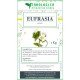 Euphrasia Herbal plant