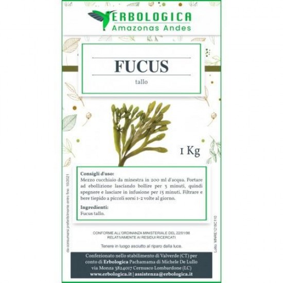 Fucus tallo tisana 1 kg