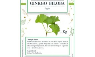 Piante officinali che migliorano la memoria